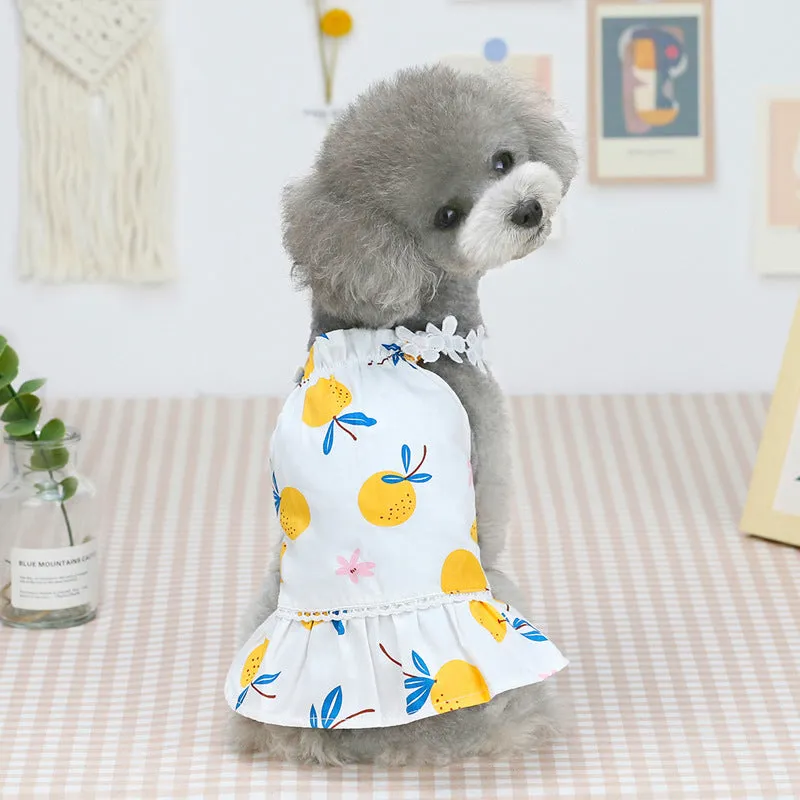 Fruit bayberry summer skirt pet clothing