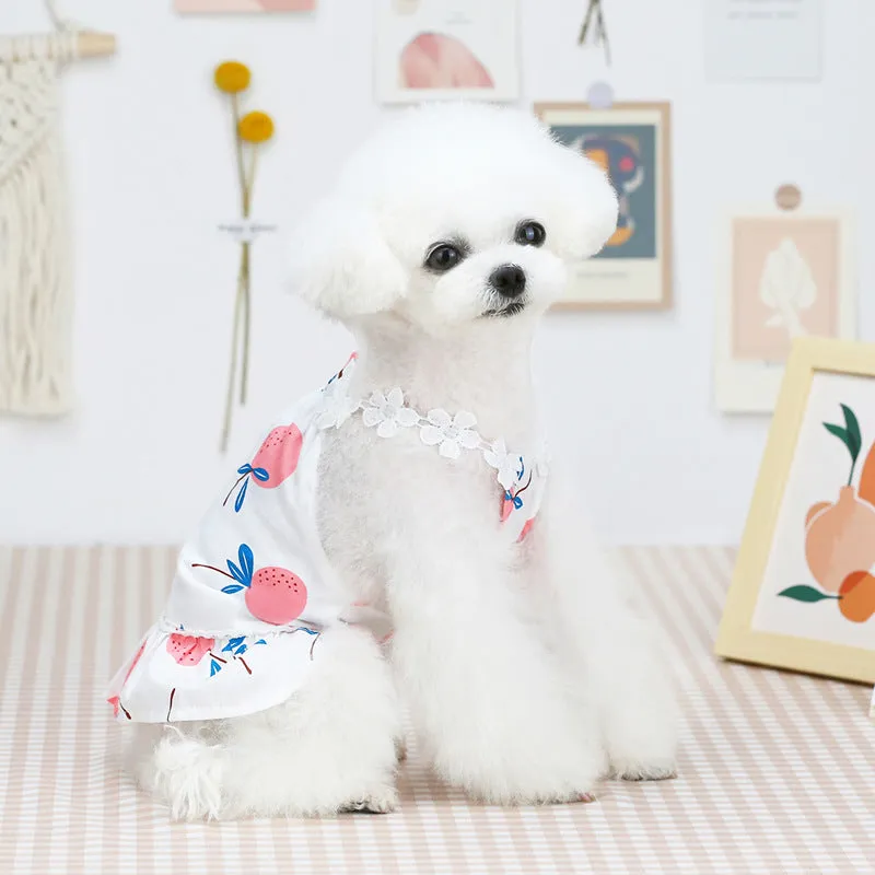 Fruit bayberry summer skirt pet clothing