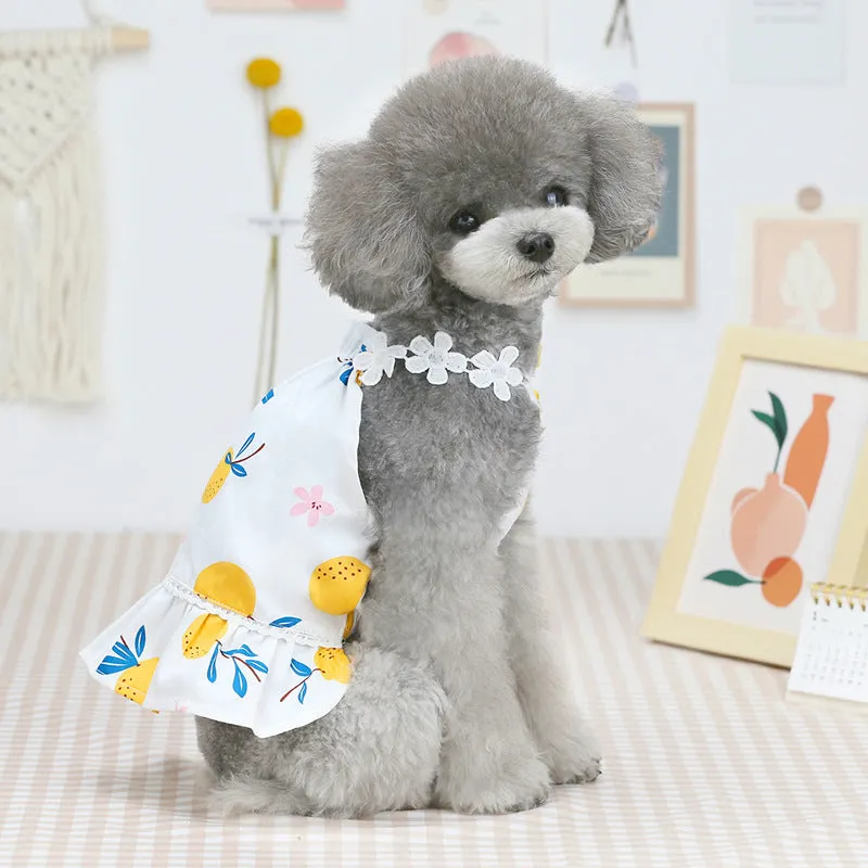 Fruit bayberry summer skirt pet clothing