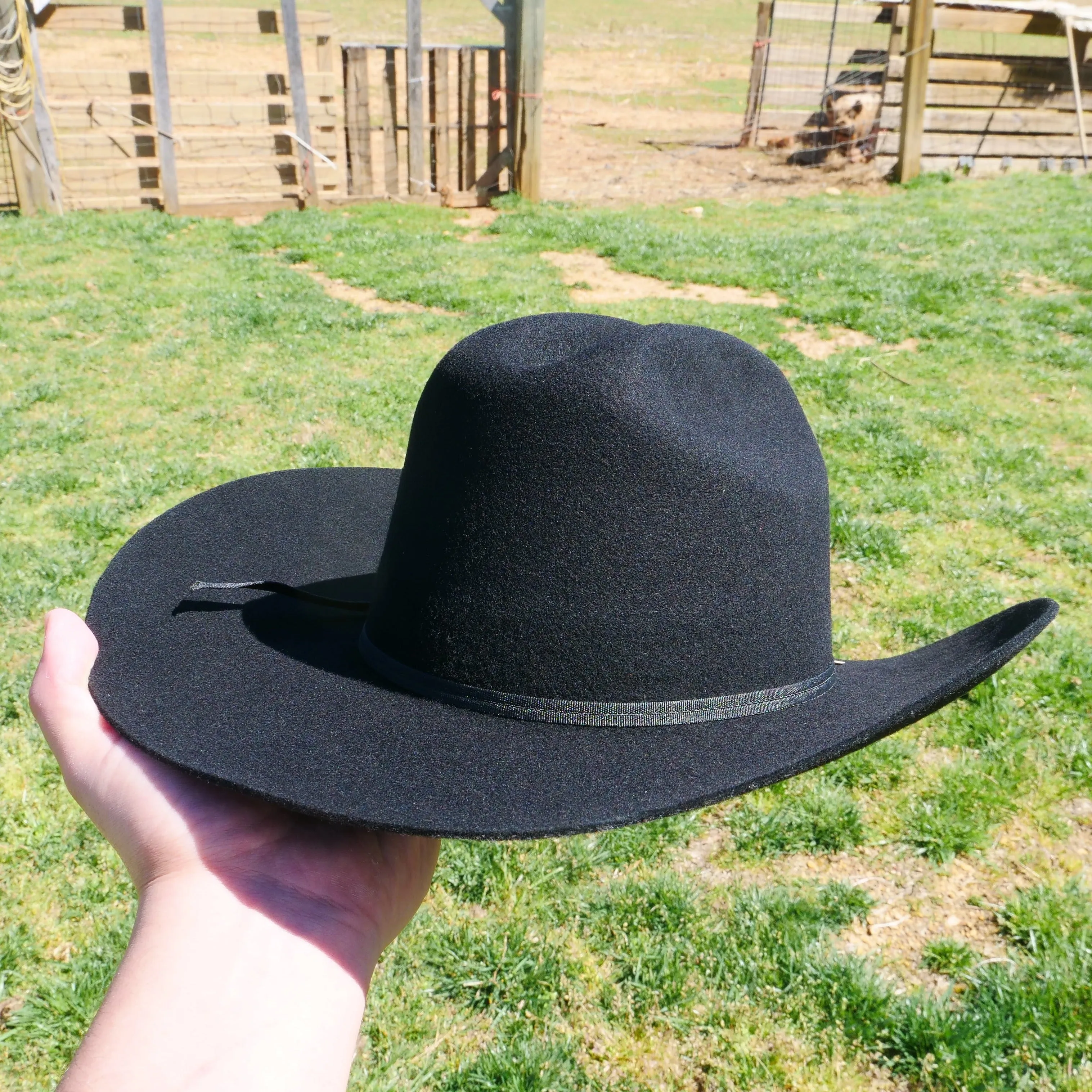 Texana 100x Johnson El Fantasma Stone Hat