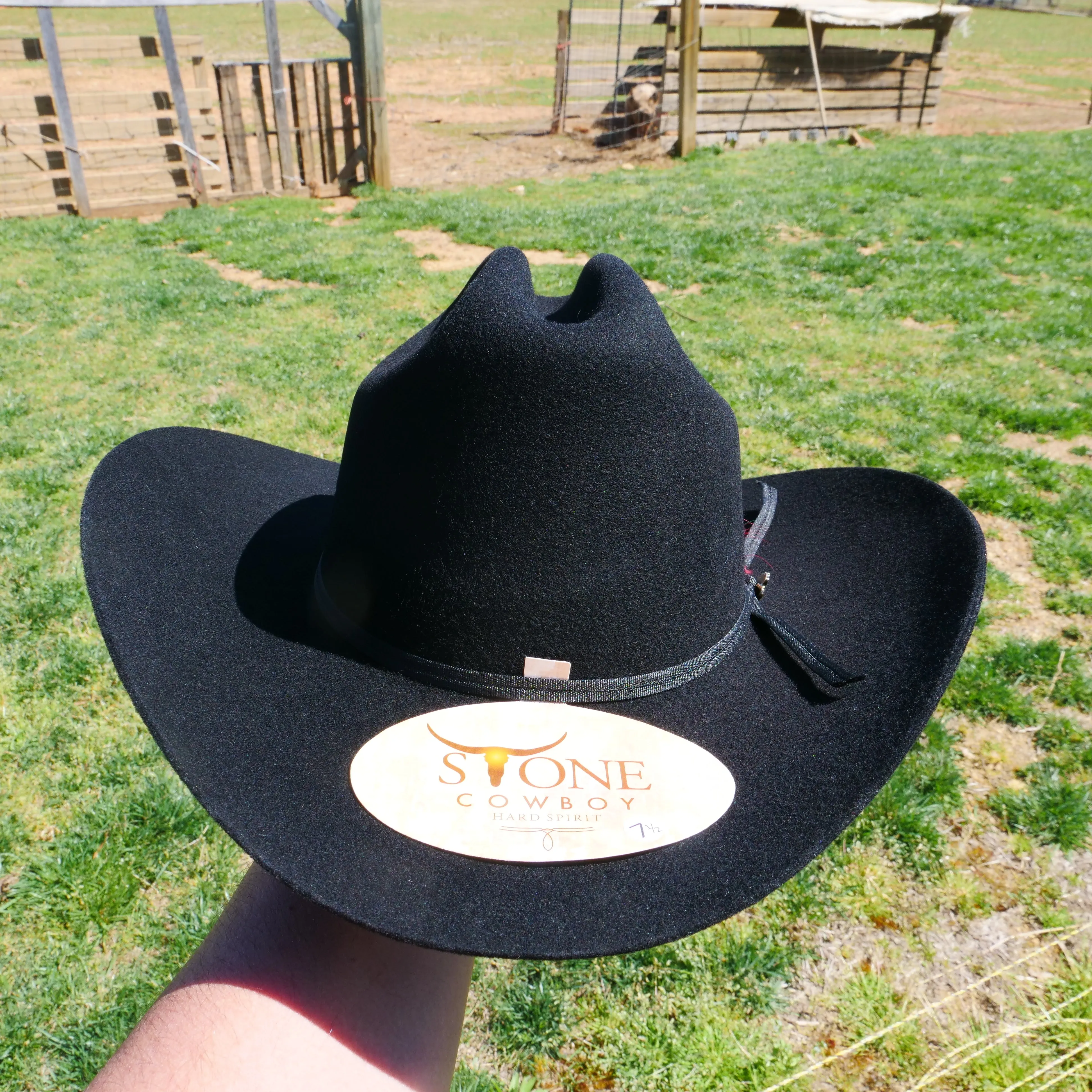 Texana 100x Johnson El Fantasma Stone Hat