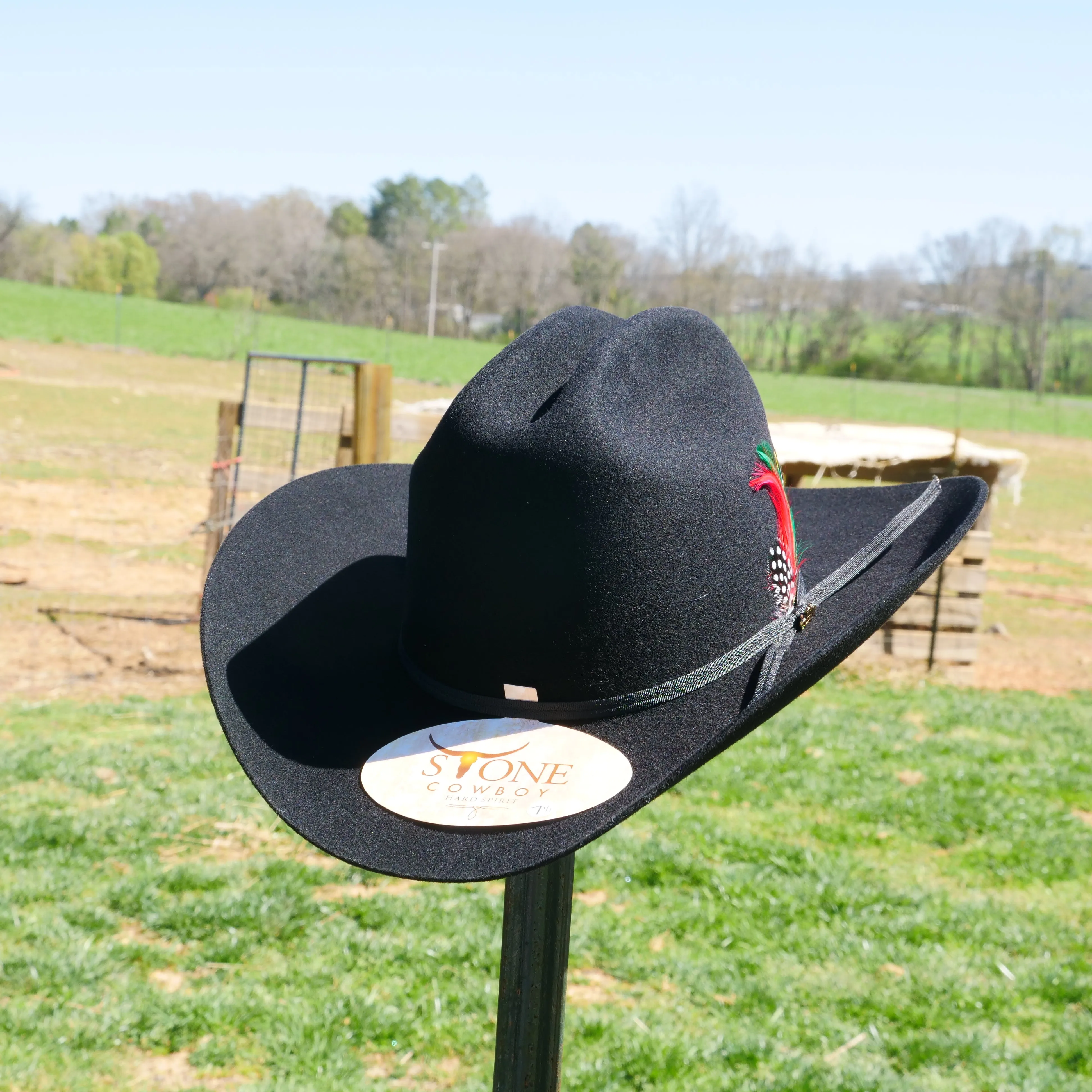 Texana 100x Johnson El Fantasma Stone Hat